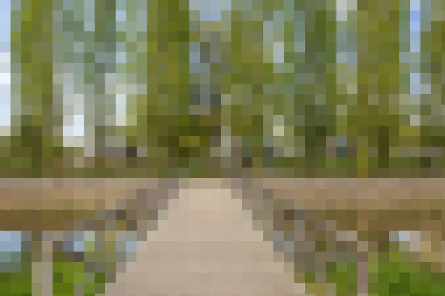 Concordialaan 91 's-Hertogenbosch thumbnail 48