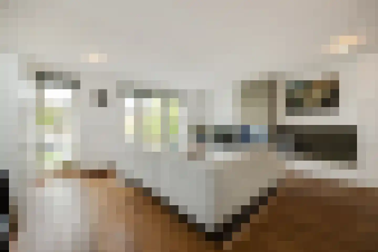 Concordialaan 91 's-Hertogenbosch thumbnail 6