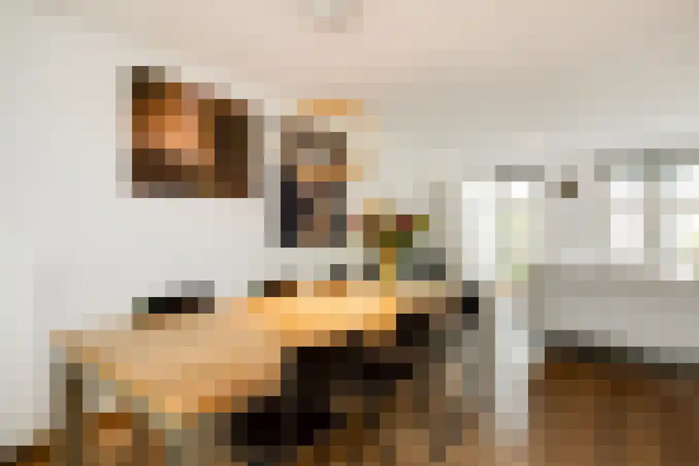 Concordialaan 91 's-Hertogenbosch thumbnail 8