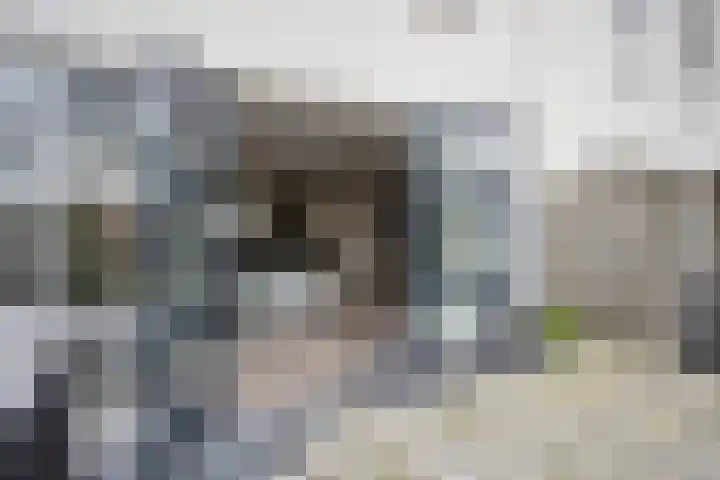 Concordialaan 93 's-Hertogenbosch thumbnail 13