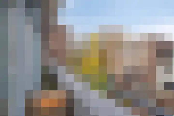 Concordialaan 93 's-Hertogenbosch thumbnail 24