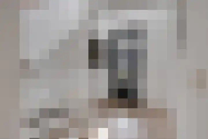 Concordialaan 93 's-Hertogenbosch thumbnail 30