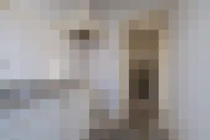 Concordiastraat 11 Sassenheim thumbnail 11