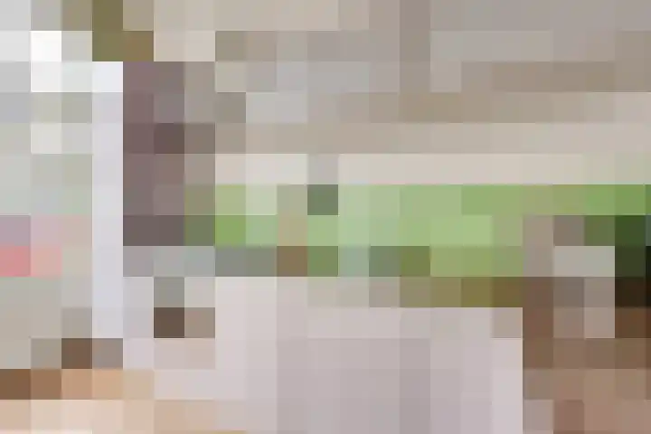 Concordiastraat 14 Utrecht thumbnail 10