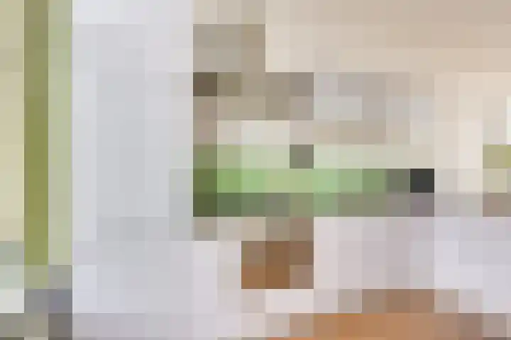 Concordiastraat 14 Utrecht thumbnail 11