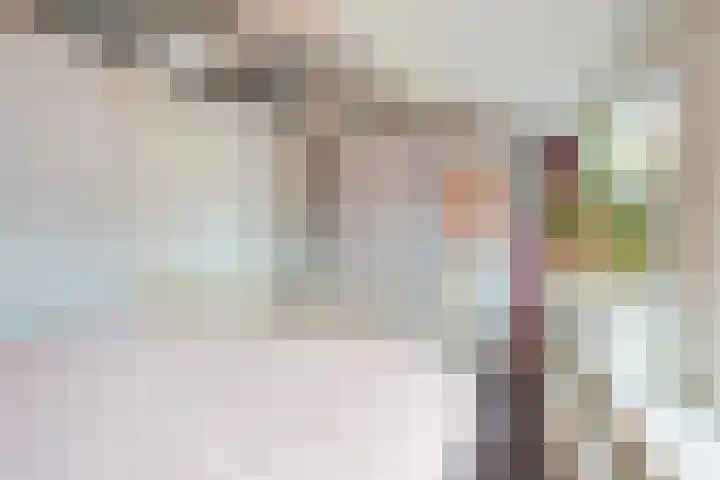 Concordiastraat 14 Utrecht thumbnail 20