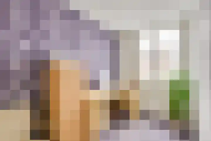 Concordiastraat 14 Utrecht thumbnail 32