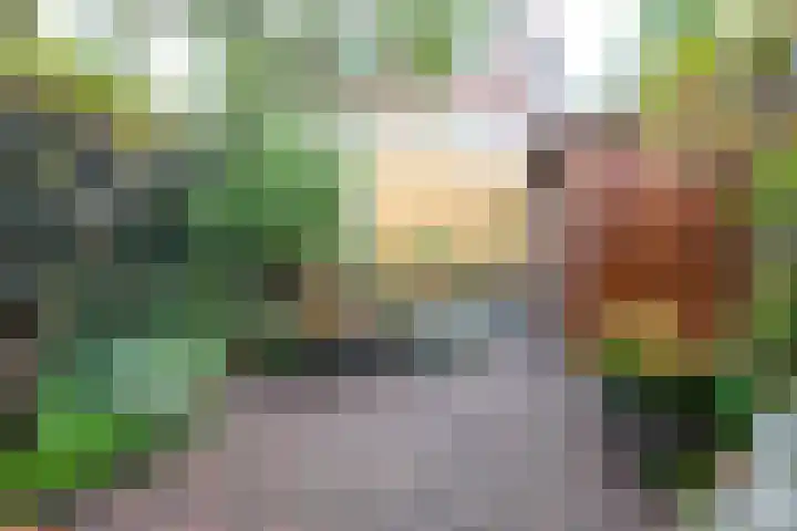 Concordiastraat 14 Utrecht thumbnail 34