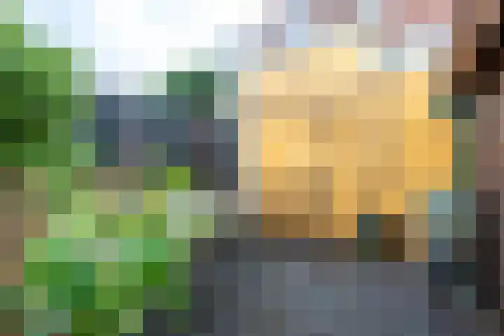 Concordiastraat 14 Utrecht thumbnail 35