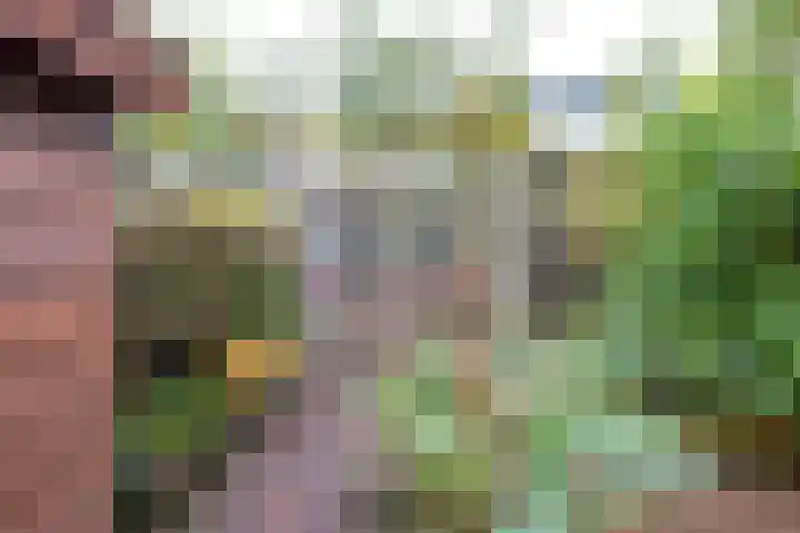Concordiastraat 14 Utrecht thumbnail 36