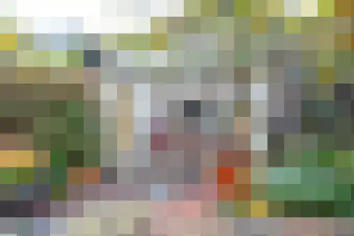Concordiastraat 14 Utrecht thumbnail 37