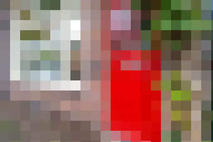 Concordiastraat 14 Utrecht thumbnail 38