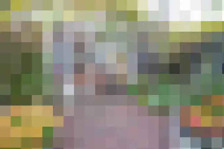 Concordiastraat 14 Utrecht thumbnail 4