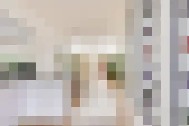Concordiastraat 14 Utrecht thumbnail 7