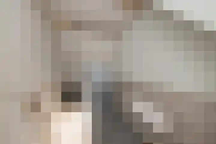 Concordiastraat 15 Sassenheim thumbnail 12