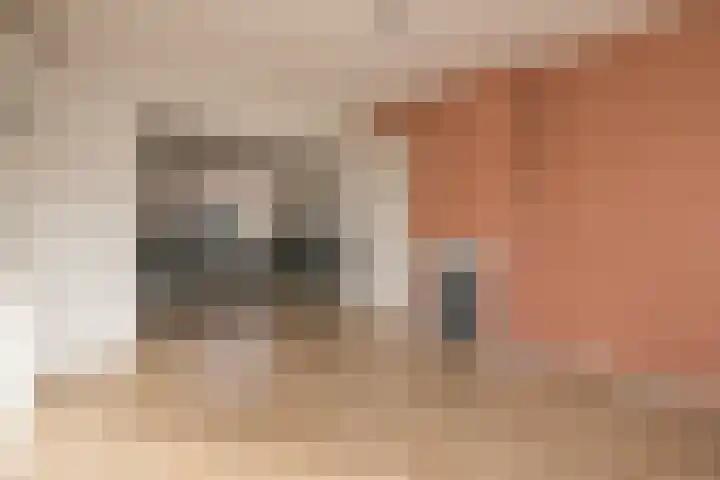 Concordiastraat 17 Sassenheim thumbnail 8