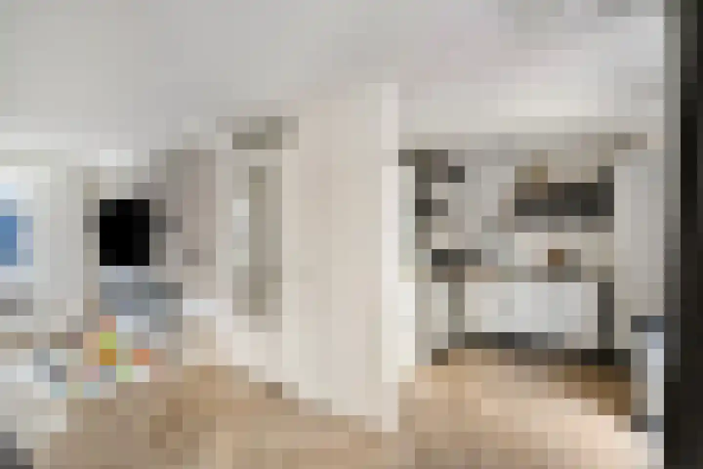 Concordiastraat 19 B3 Breda thumbnail 10