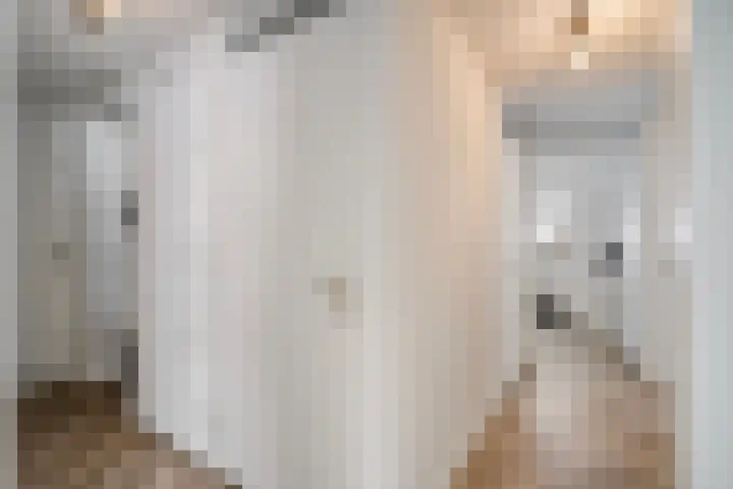 Concordiastraat 19 B3 Breda thumbnail 13