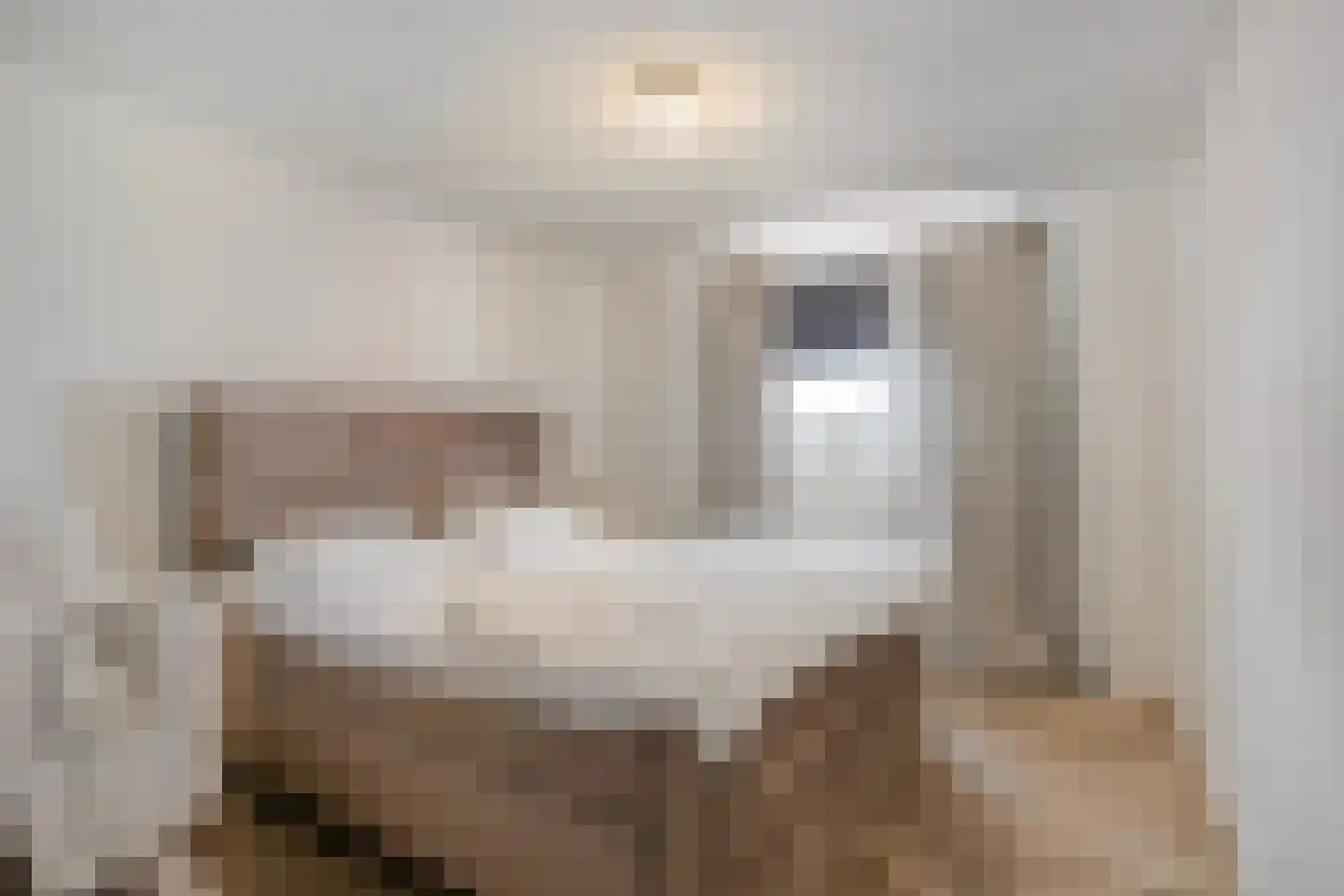 Concordiastraat 19 B3 Breda thumbnail 14