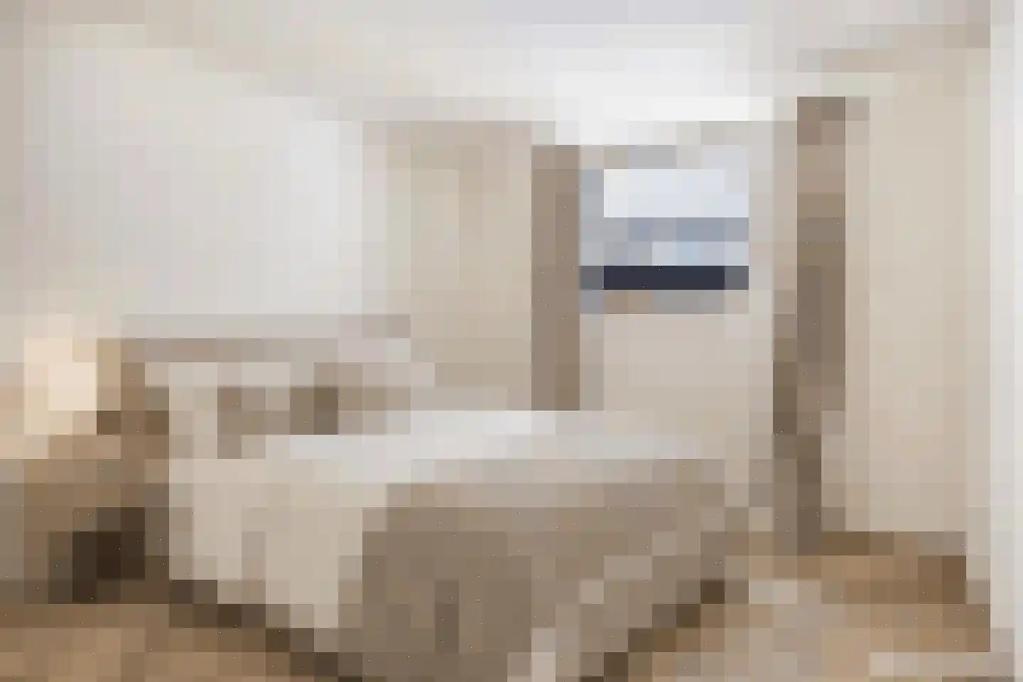 Concordiastraat 19 B3 Breda thumbnail 20