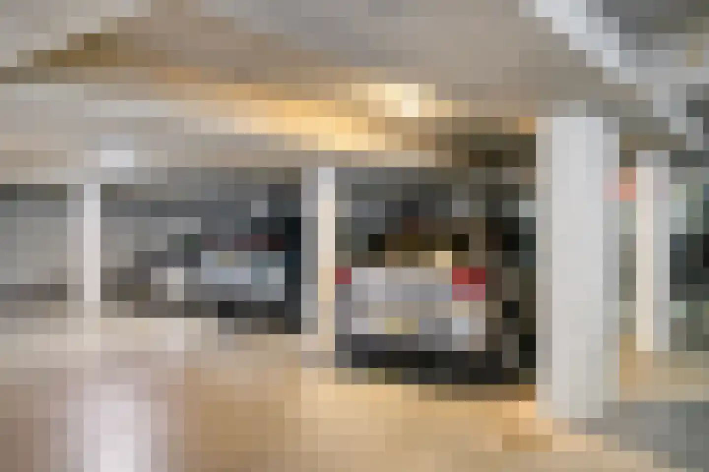 Concordiastraat 19 B3 Breda thumbnail 20