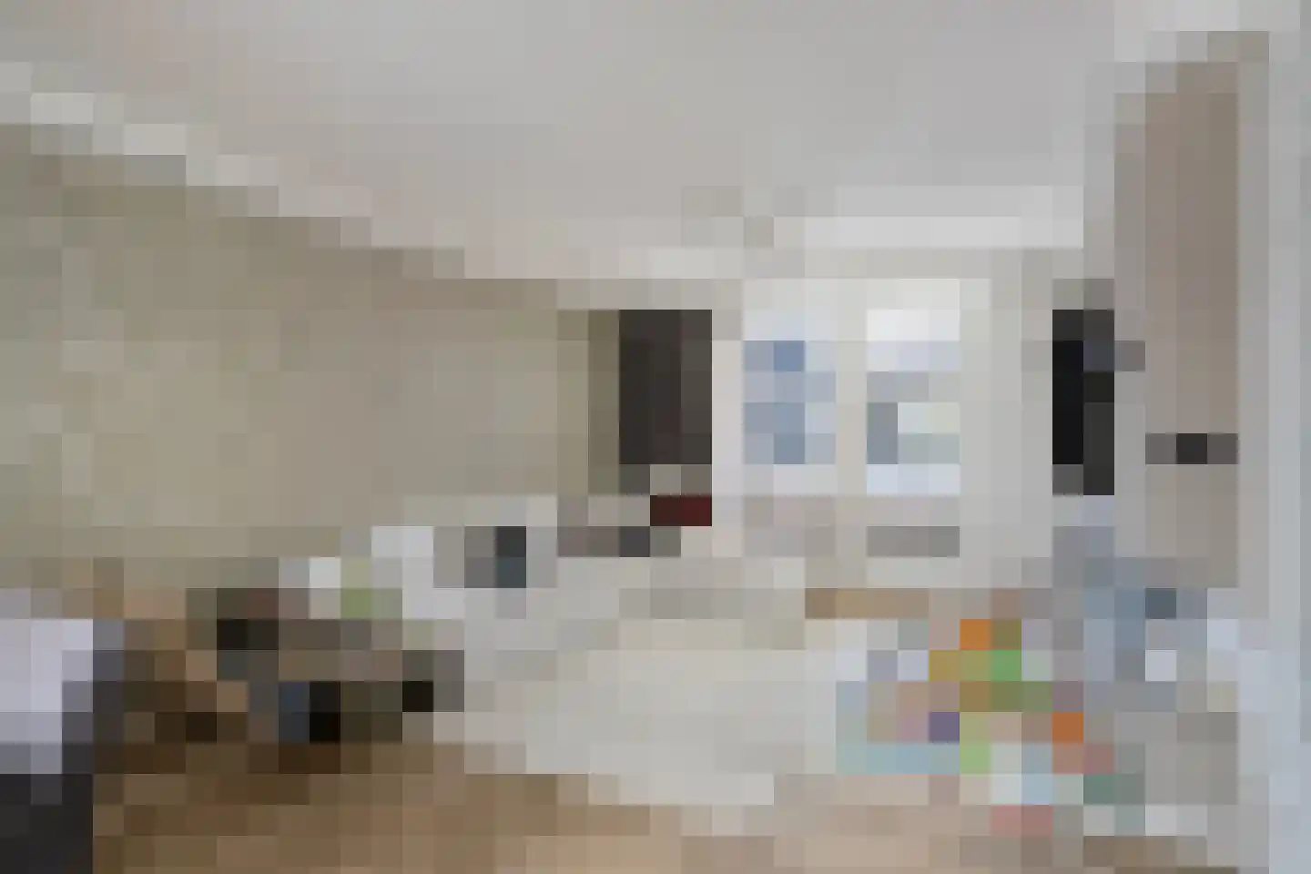 Concordiastraat 19 B3 Breda thumbnail 7