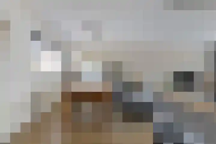 Concordiastraat 19 C8 Breda thumbnail 13