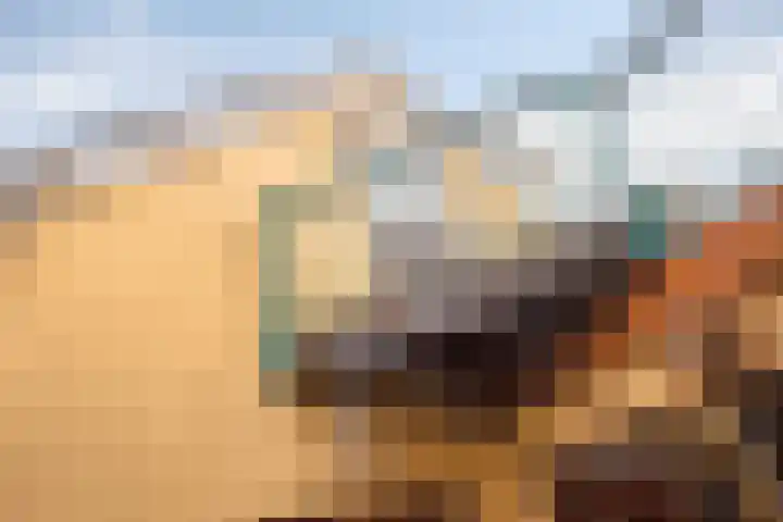 Concordiastraat 19 Hoek van Holland thumbnail 32