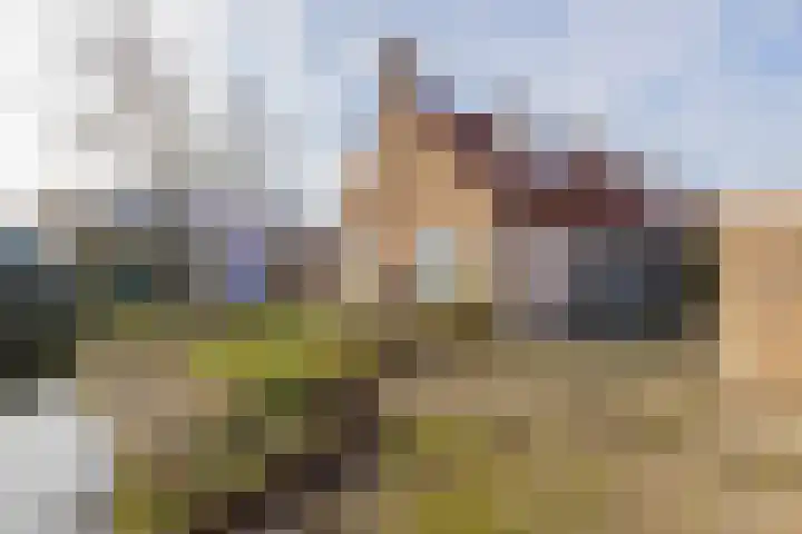 Concordiastraat 19 Sassenheim thumbnail 11
