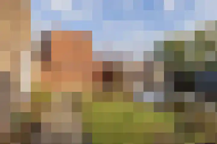 Concordiastraat 19 Sassenheim thumbnail 12