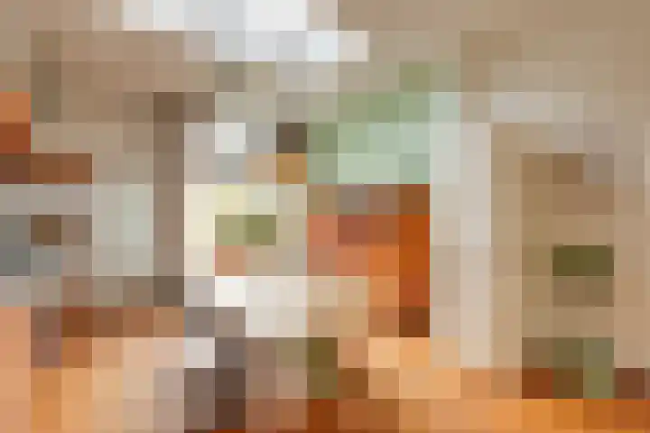 Concordiastraat 19 Utrecht thumbnail 11