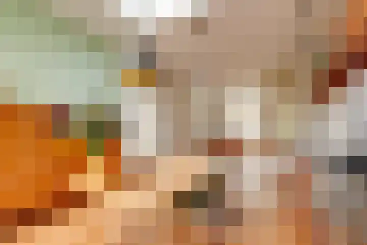Concordiastraat 19 Utrecht thumbnail 12