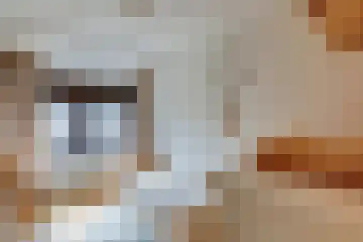 Concordiastraat 19 Utrecht thumbnail 19