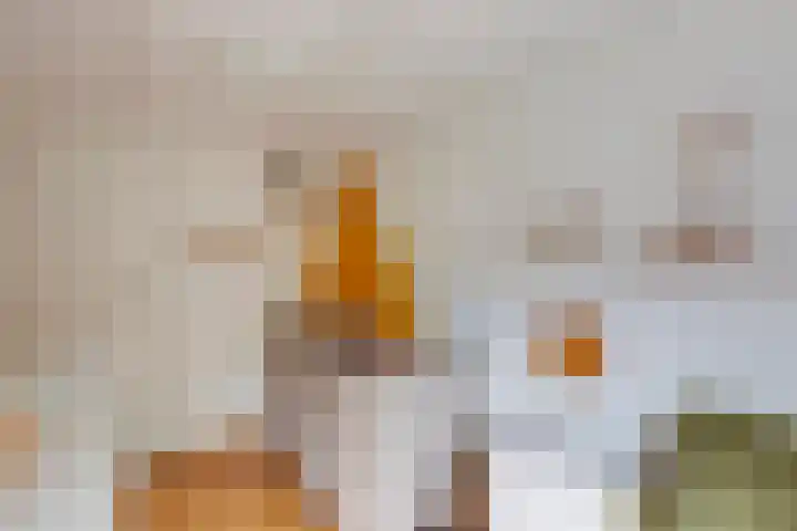 Concordiastraat 19 Utrecht thumbnail 22