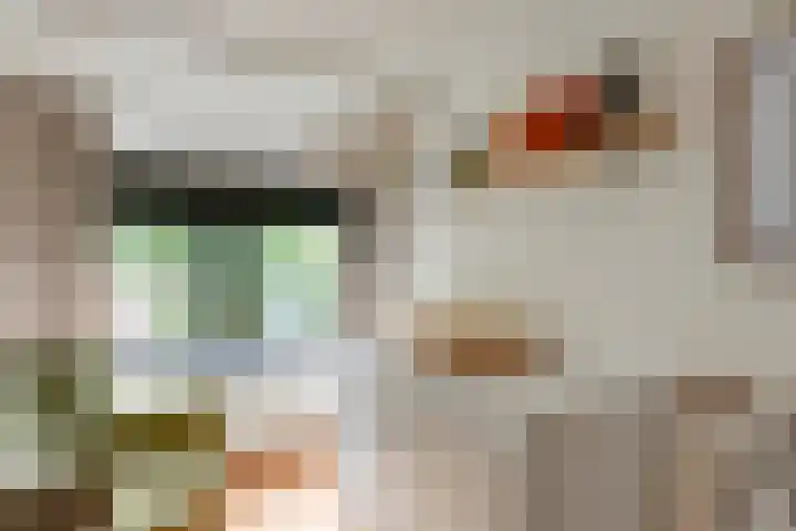 Concordiastraat 19 Utrecht thumbnail 24
