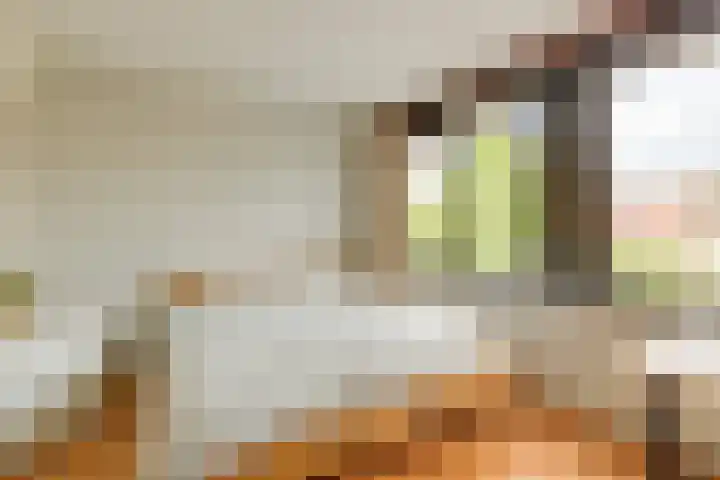 Concordiastraat 19 Utrecht thumbnail 25