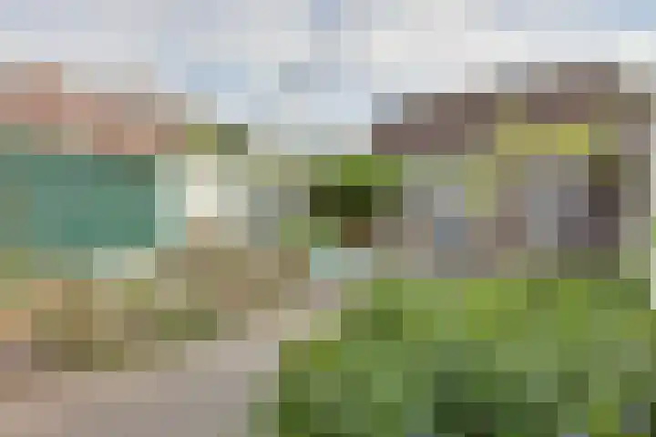 Concordiastraat 19 Utrecht thumbnail 29