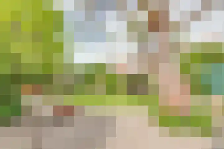 Concordiastraat 19 Utrecht thumbnail 30