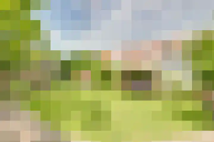 Concordiastraat 19 Utrecht thumbnail 31