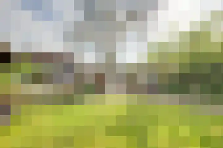 Concordiastraat 19 Utrecht thumbnail 32