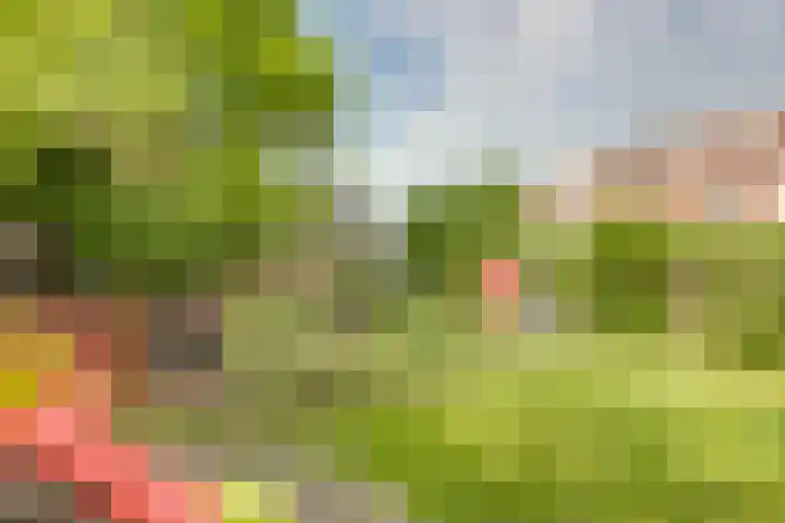 Concordiastraat 19 Utrecht thumbnail 33