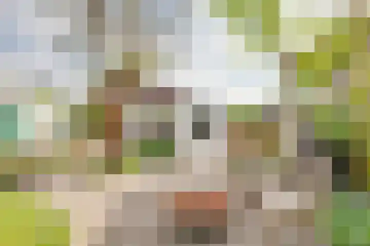 Concordiastraat 19 Utrecht thumbnail 34