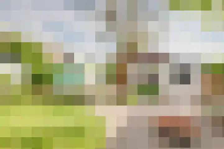Concordiastraat 19 Utrecht thumbnail 35
