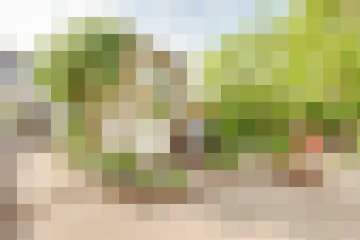 Concordiastraat 19 Utrecht thumbnail 36