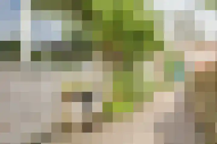 Concordiastraat 19 Utrecht thumbnail 38