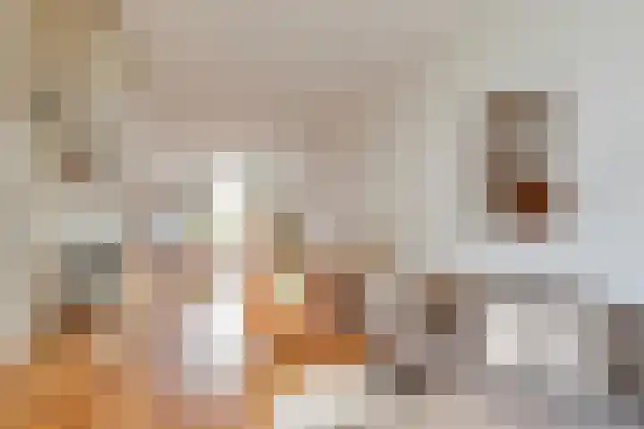 Concordiastraat 19 Utrecht thumbnail 6