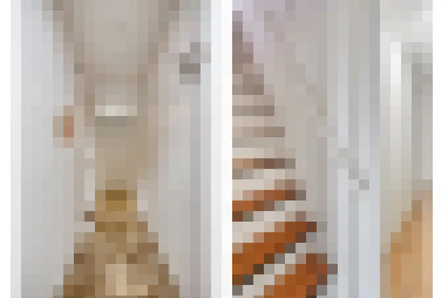 Concordiastraat 21 Hoek van Holland thumbnail 4