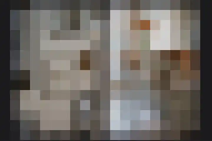 Concordiastraat 21 Utrecht thumbnail 18