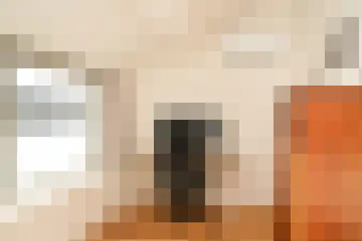 Concordiastraat 21 Utrecht thumbnail 20