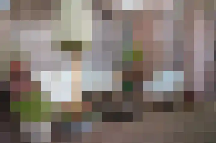 Concordiastraat 21 Utrecht thumbnail 26